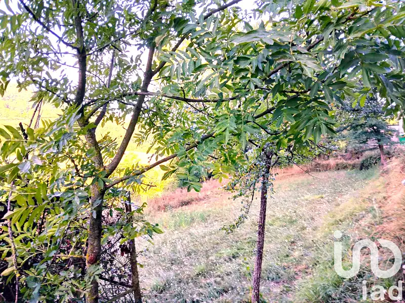 Terrain, 857 m²