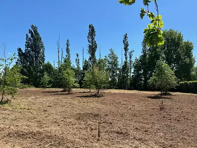 Terrain, 6 209 m²