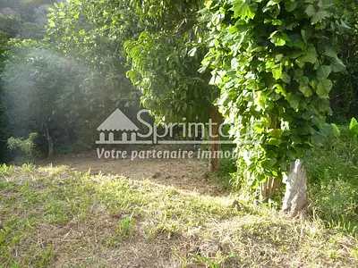 Terrain, 1 200 m²