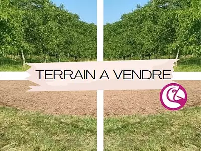 Terrain, 350 m²