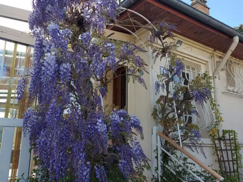 Maison, 95 m²