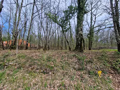 Terrain, 1 516 m²