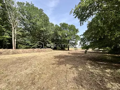 Terrain, 5 995 m²