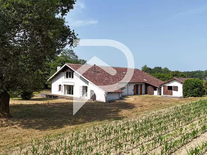 Maison, 330 m²