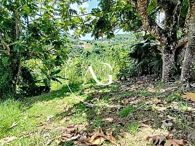 Terrain, 445 m²