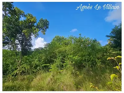 Terrain, 2 983 m²