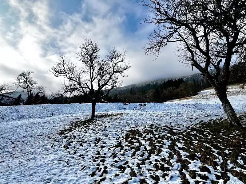Terrain, 1 164 m²