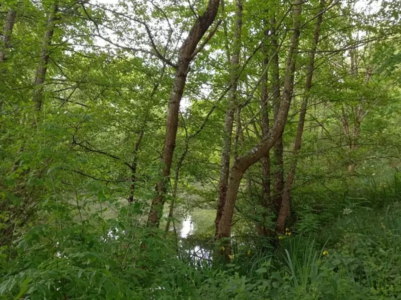 Terrain, 405 m²