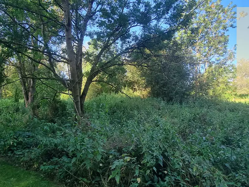 Terrain, 1 920 m²