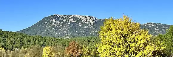 Julien KAUFFER - 3G IMMO