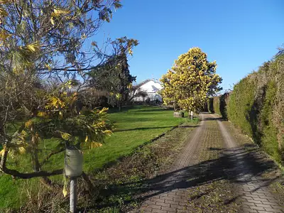 Maison, 212 m²