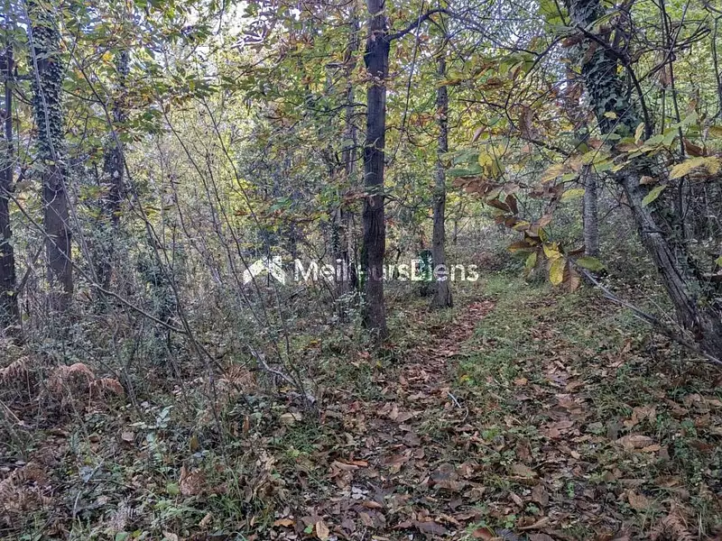 Terrain, 1 102 m²