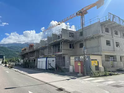 Le Galisea