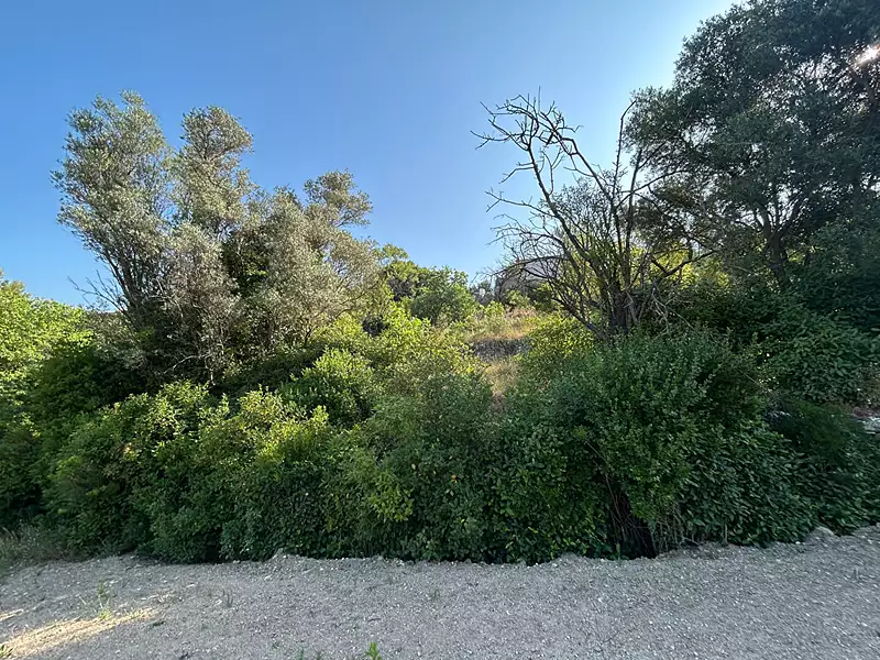 Terrain, 986 m²