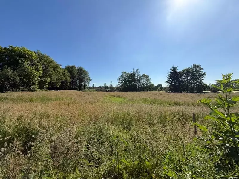 Terrain, 1 484 m²