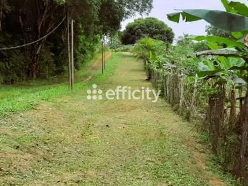 Terrain, 12 836 m²