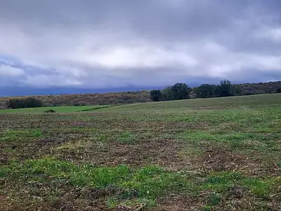 Terrain