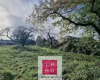 Immeuble, 243,78 m²