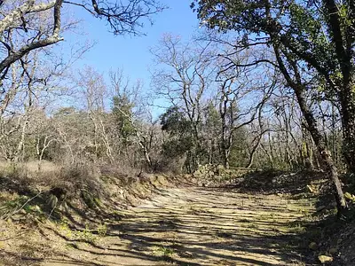 Terrain, 9 100 m²