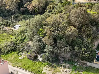Terrain, 2 259 m²