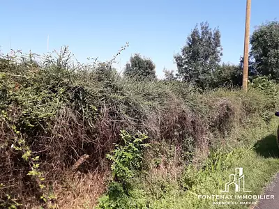 Terrain, 2 685 m²