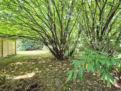 Maison, 84 m²