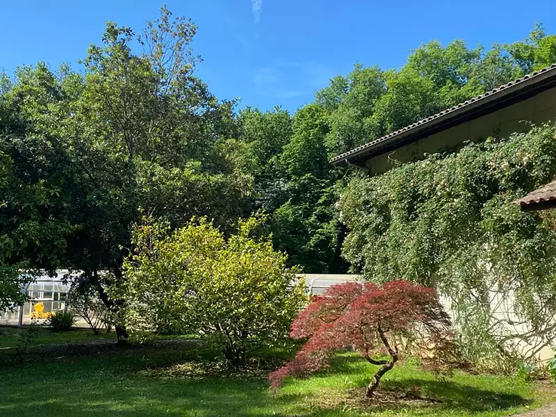 Maison, 330 m²