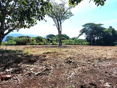 Terrain, 2 915 m²