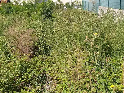 Terrain, 478 m²