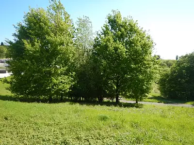 Terrain, 2 113 m²