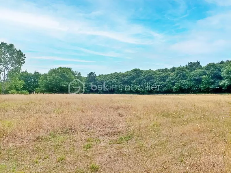 Terrain, 6 614 m²