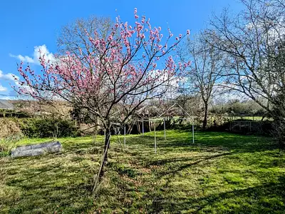 Maison, 72 m²