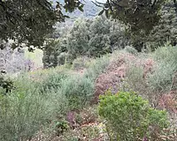 Terrain, 1 200 m²