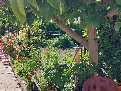 Maison, 83 m²