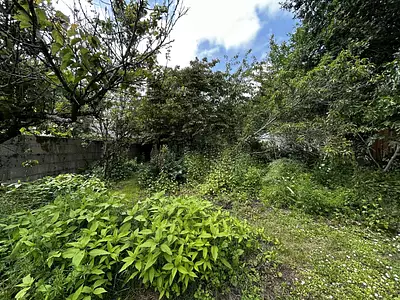 Terrain, 602 m²