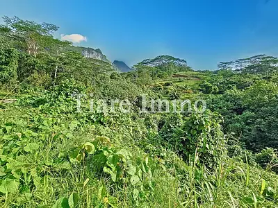 Terrain, 1 900 m²