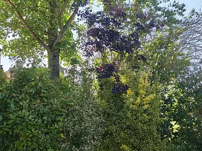 Maison, 88 m²