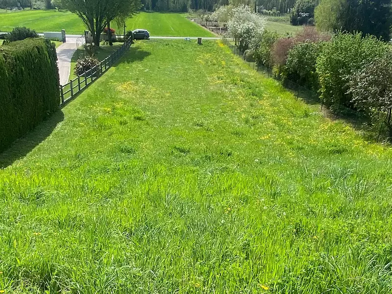 Terrain, 1 319 m²