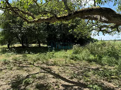 Terrain, 480 m²