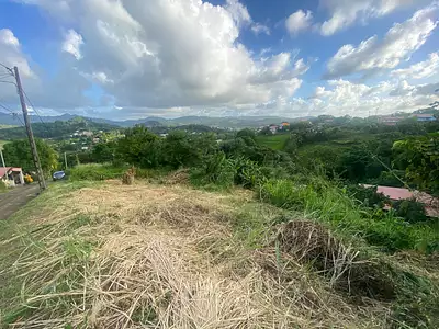Terrain, 706 m²