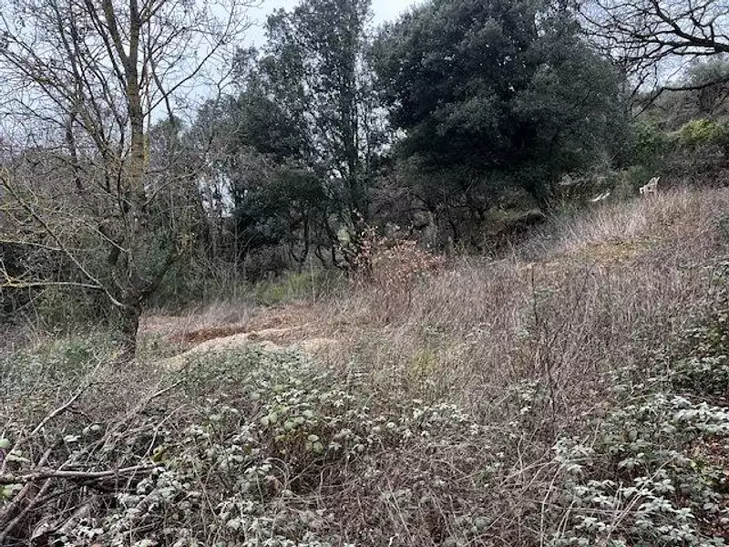 Terrain, 6 290 m²