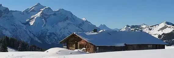 Michaël Zingraf Real Estate Megève