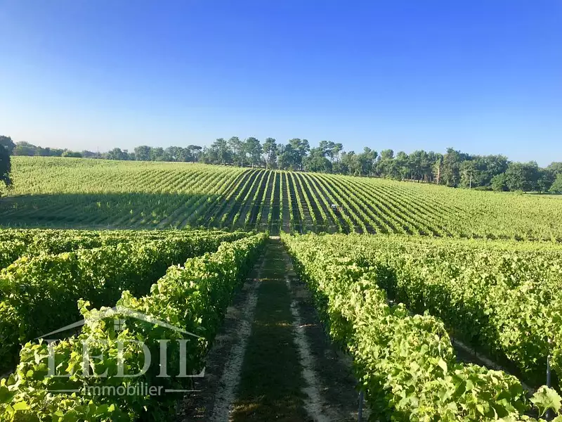 Terrain, 400 000 m²