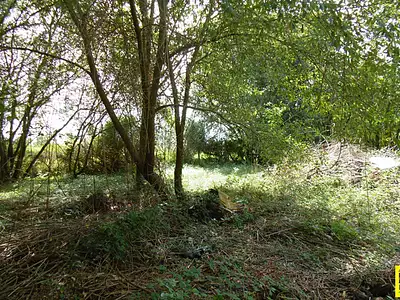Maison, 83 m²