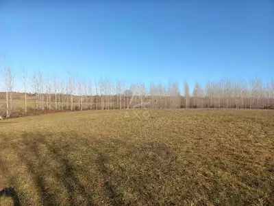 Terrain, 5 000 m²