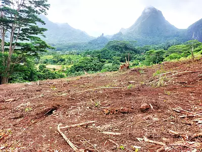 Terrain, 3 500 m²