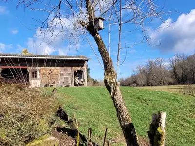 Maison, 165 m²