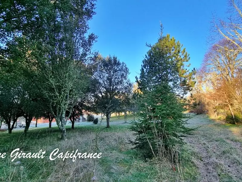 Terrain, 3 153 m²