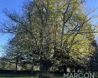 Maison, 166 m²
