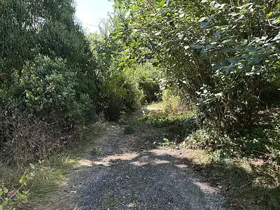 Maison, 250 m²